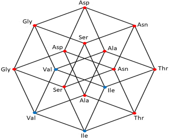 Symmetrical distributions of aminoacyl-tRNA synthetases during the evolution of the genetic code.