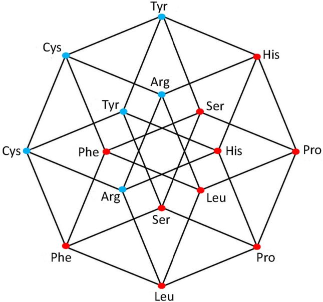 Symmetrical distributions of aminoacyl-tRNA synthetases during the evolution of the genetic code.