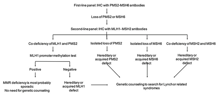 The importance of molecular classification of endometrial carcinomas in clinical practice: how to apply it and difficulties in application