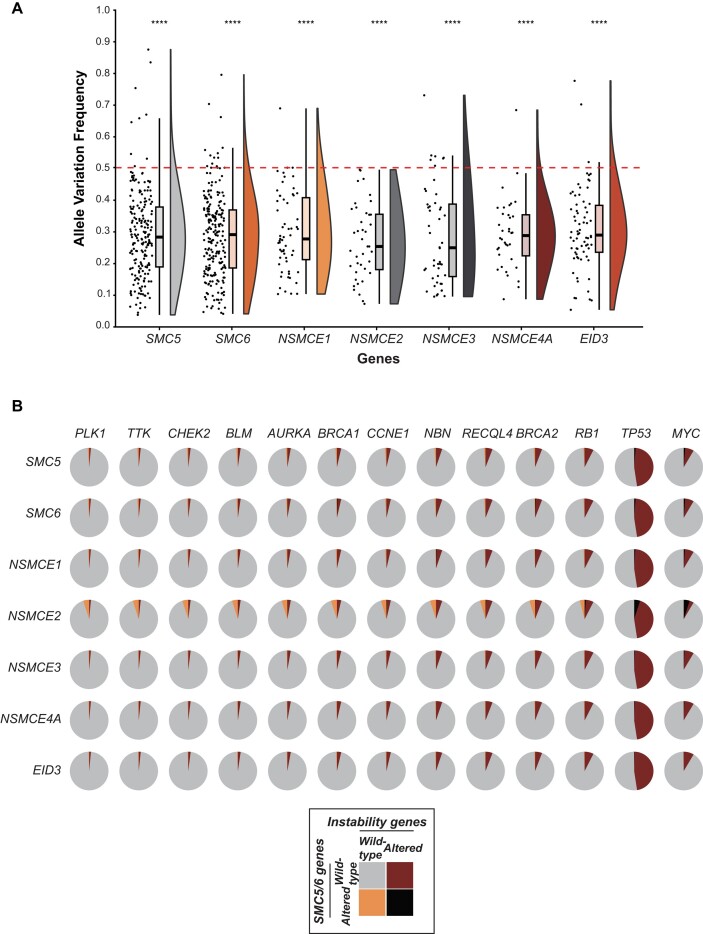 Large-scale phenogenomic analysis of human cancers uncovers frequent alterations affecting SMC5/6 complex components in breast cancer.