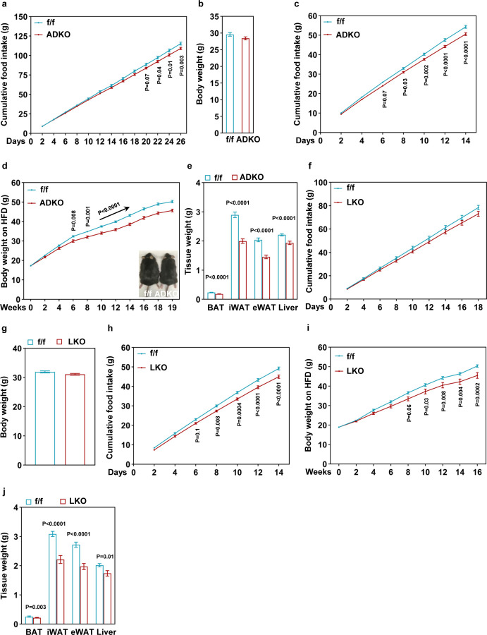 A brown fat-enriched adipokine, ASRA, is a leptin receptor antagonist that stimulates appetite.