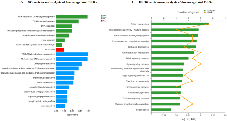 High rumen degradable starch diet induced blood bile acids profile changes and hepatic inflammatory response in dairy goats