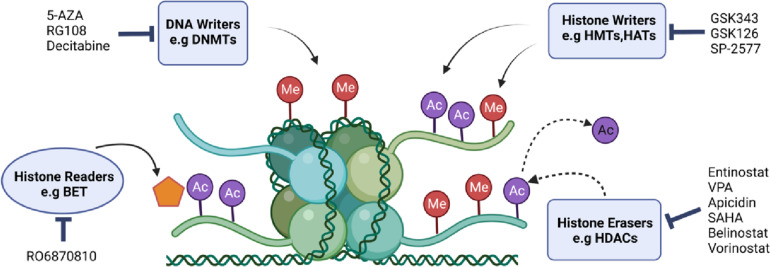 New insights for gynecological cancer therapies: from molecular mechanisms and clinical evidence to future directions.