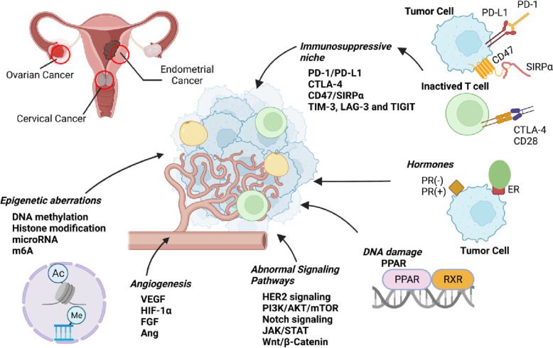 New insights for gynecological cancer therapies: from molecular mechanisms and clinical evidence to future directions.