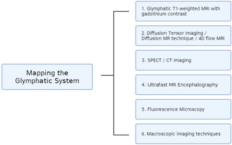 Mapping the Glymphatic Pathway Using Imaging Advances.