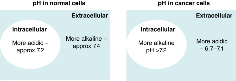 The impact of cellular environment on <i>in vitro</i> drug screening.