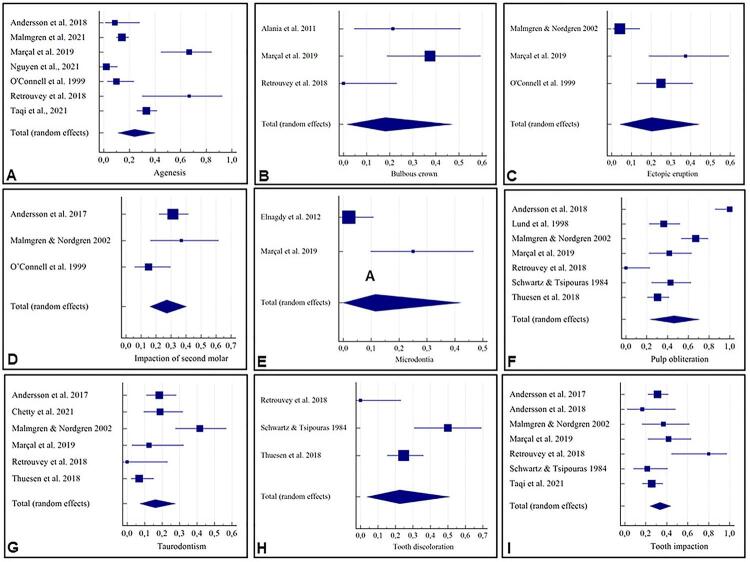 Dental anomalies in individuals with osteogenesis imperfecta: a systematic review and meta-analysis of prevalence and comparative studies.