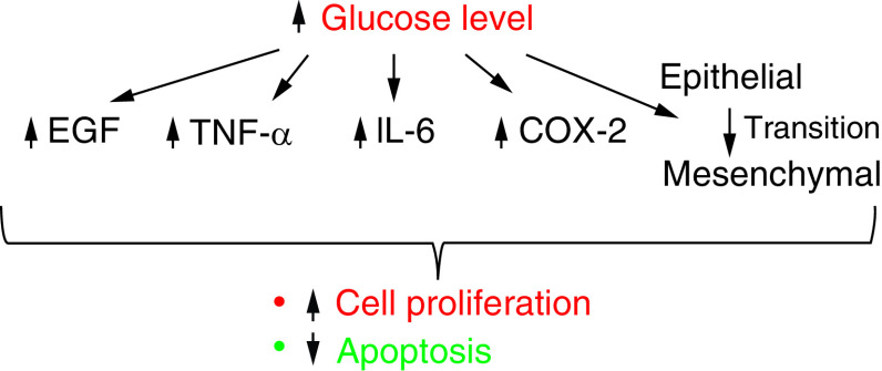 The impact of cellular environment on <i>in vitro</i> drug screening.