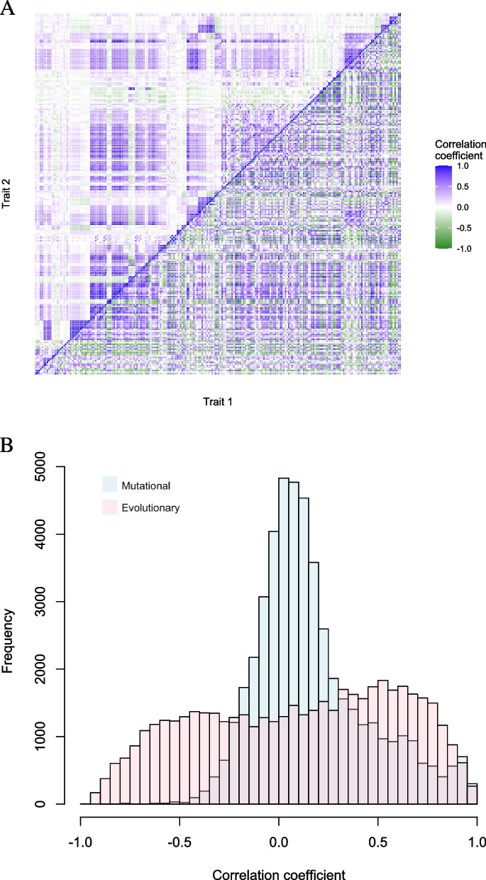 Detecting natural selection in trait-trait coevolution.