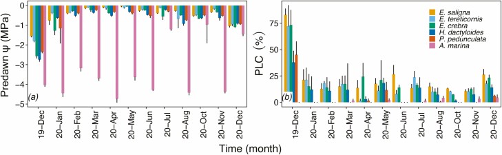 Seasonal variation in the xylem sap composition of six Australian trees and shrubs.