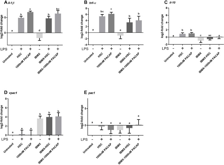 The effect of PACAP administration on LPS-induced cytokine expression in the Atlantic salmon SHK-1 cell line.