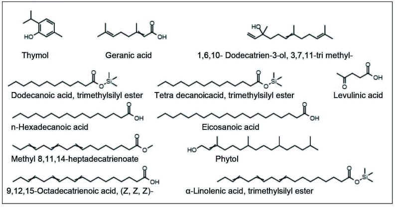 <i>In Vitro</i> Assessment of The Bioactive Compounds and Anticancer Potential of <i>Citrus medica</i> Leaf Extract.