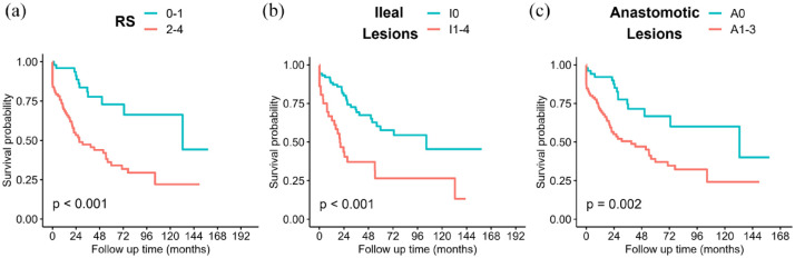 A nomogram incorporating ileal and anastomotic lesions separately to predict the long-term outcome of Crohn's disease after ileocolonic resection.