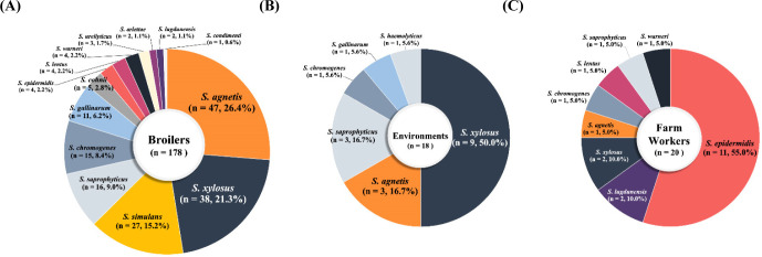 Species Profiles and Antimicrobial Resistance of Non-<i>aureus</i> Staphylococci Isolated from Healthy Broilers, Farm Environments, and Farm Workers.