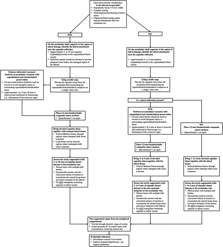 Labral Reconstruction via Capsular Augmentation Maintains Perfusion to the Acetabular Labrum and Locally Transferred Autograft: An in Vivo Laser Doppler Flowmetry Analysis.