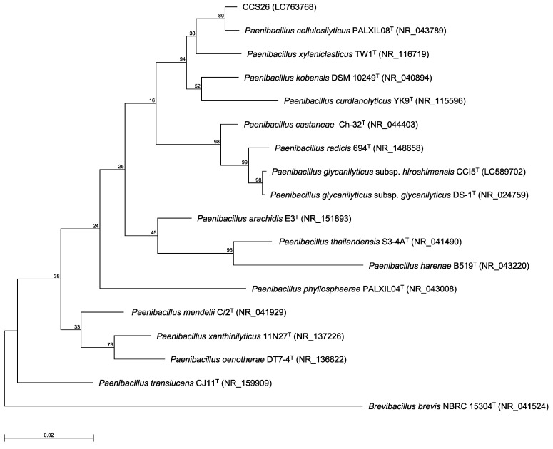 Isolation, draft genome sequence, and identification of <i>Paenibacillus glycanilyticus</i> subsp. <i>hiroshimensis</i> CCS26.