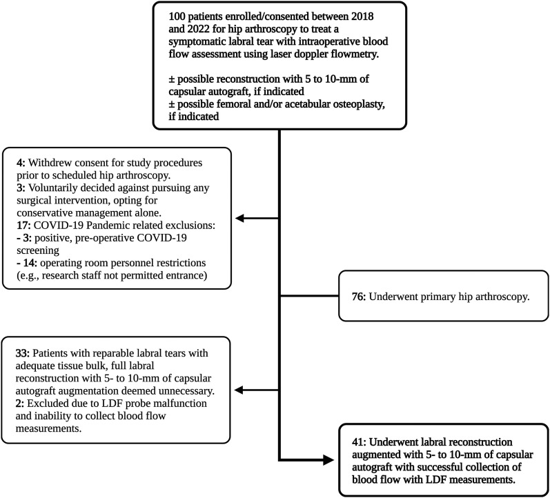 Labral Reconstruction via Capsular Augmentation Maintains Perfusion to the Acetabular Labrum and Locally Transferred Autograft: An in Vivo Laser Doppler Flowmetry Analysis.