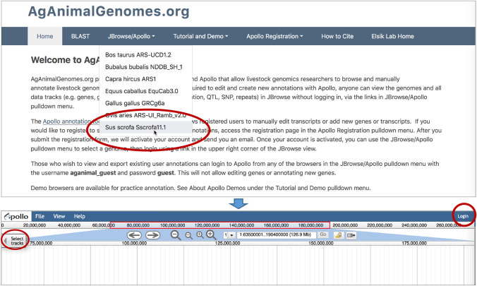 AgAnimalGenomes: browsers for viewing and manually annotating farm animal genomes.