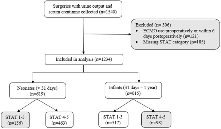 Indexed oxygen delivery during pediatric cardiopulmonary bypass is a modifiable risk factor for postoperative acute kidney injury.