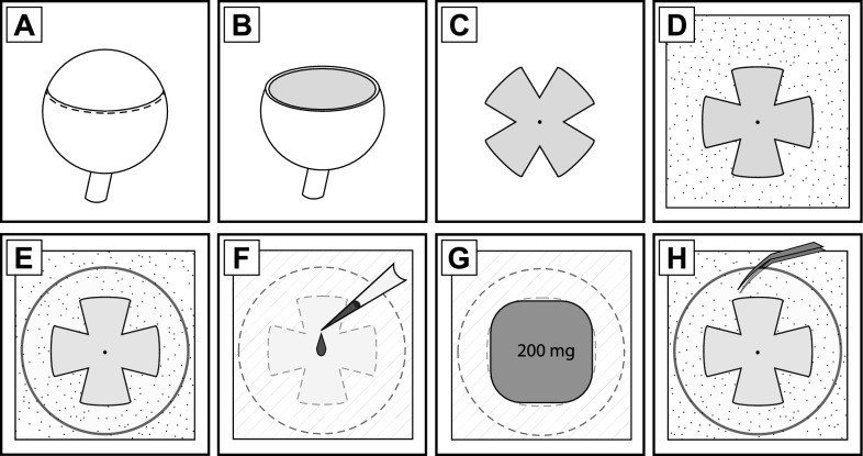 Rapid isolation of intact retinal astrocytes: a novel approach.