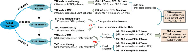 A review of tumor treating fields (TTFields): advancements in clinical applications and mechanistic insights.