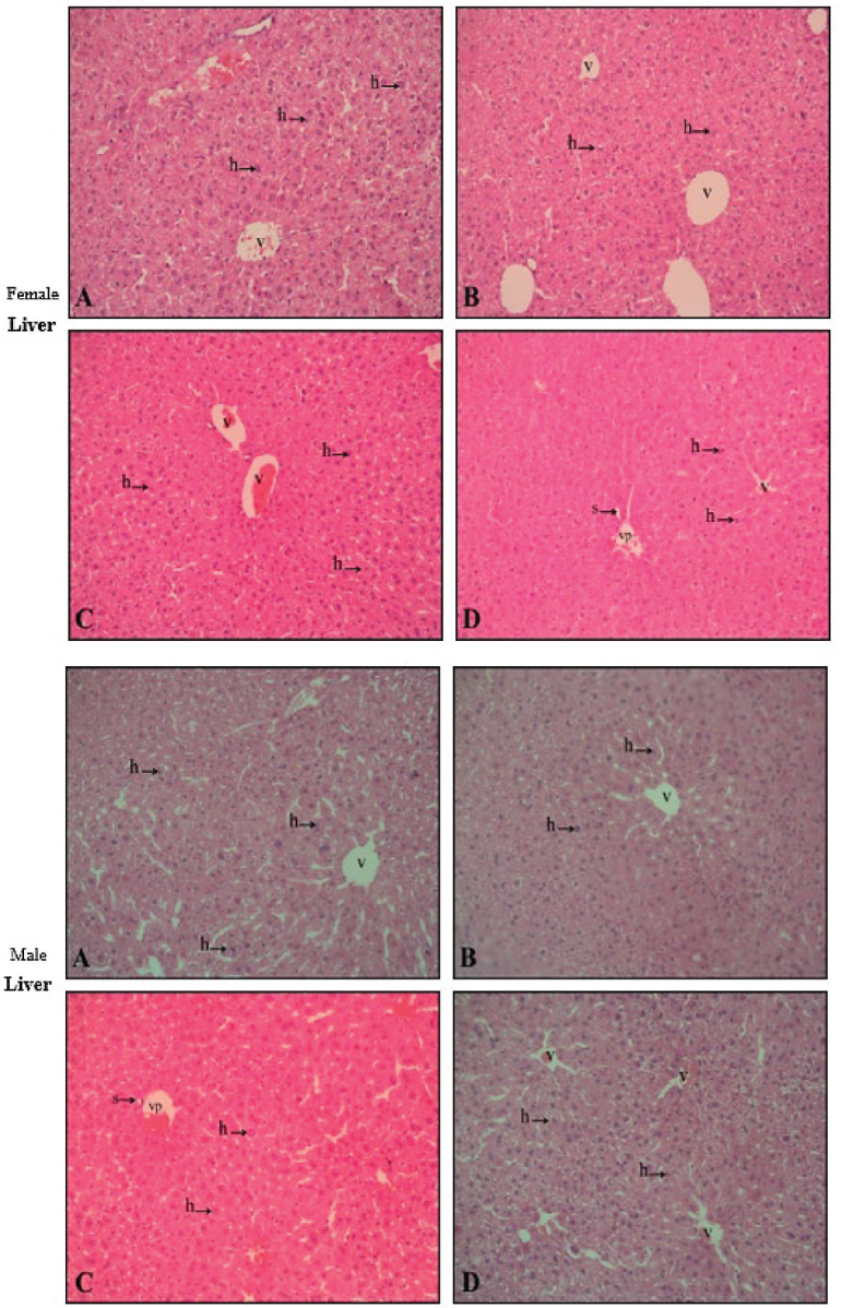 L-glutamic acid-g-poly hydroxyethyl methacrylate nanoparticles: acute and sub-acute toxicity and biodistribution potential in mice.