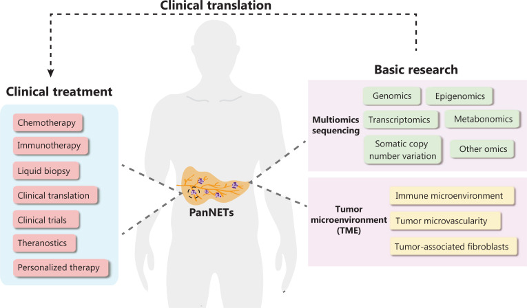 Recent research hotspots in sequencing and the pancreatic neuroendocrine tumor microenvironment.