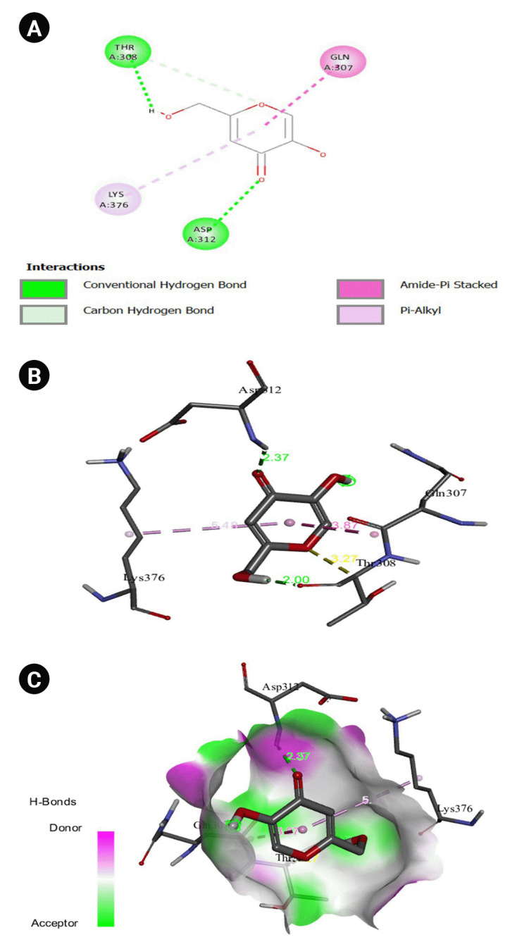 Molecular docking Study of Nuciferine as a Tyrosinase Inhibitor and Its Therapeutic Potential for Hyperpigmentation.