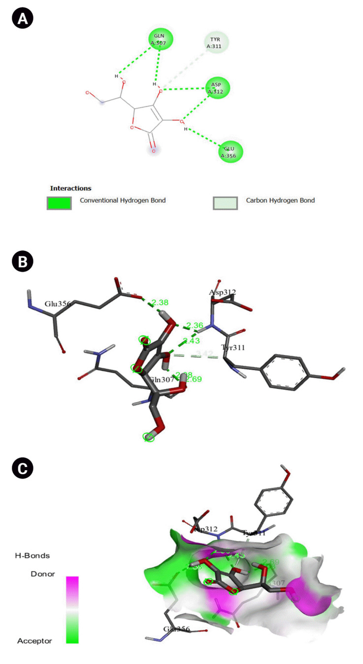 Molecular docking Study of Nuciferine as a Tyrosinase Inhibitor and Its Therapeutic Potential for Hyperpigmentation.