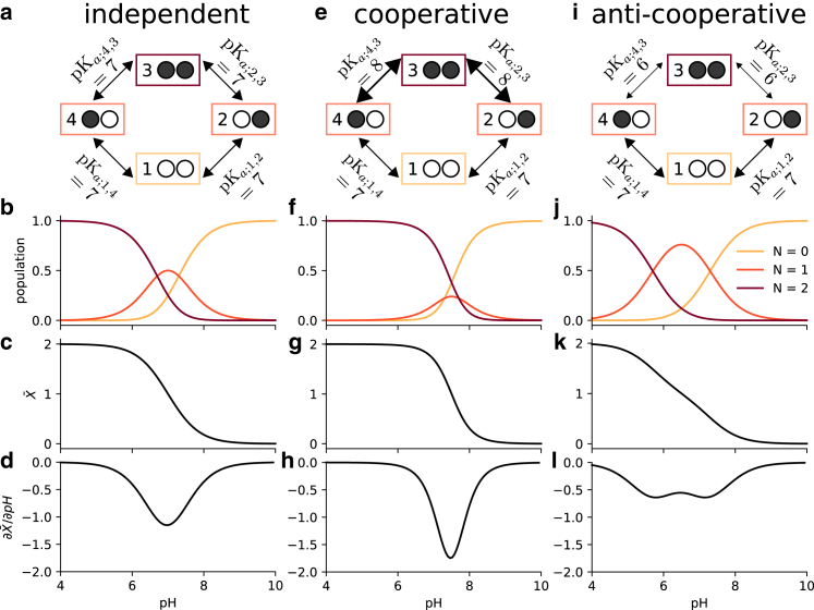 Thermodynamically consistent determination of free energies and rates in kinetic cycle models.