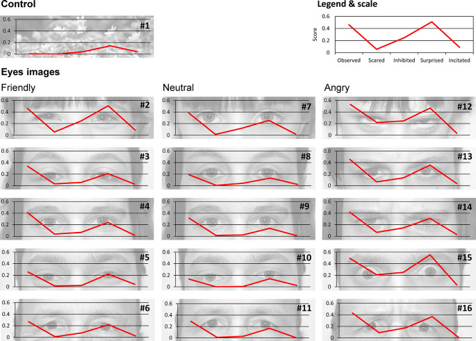 Eye image effect in the context of pedestrian safety: a French questionnaire study.