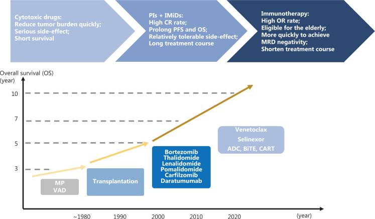 Immunotherapy for multiple myeloma: new chances and hope.