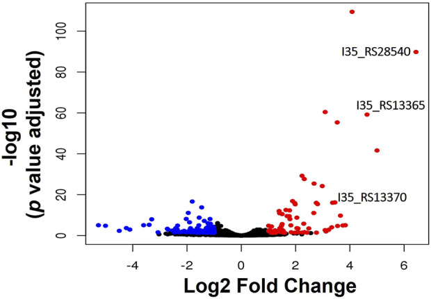 Transcriptional Response of <i>Burkholderia cenocepacia</i> H111 to Severe Zinc Starvation.