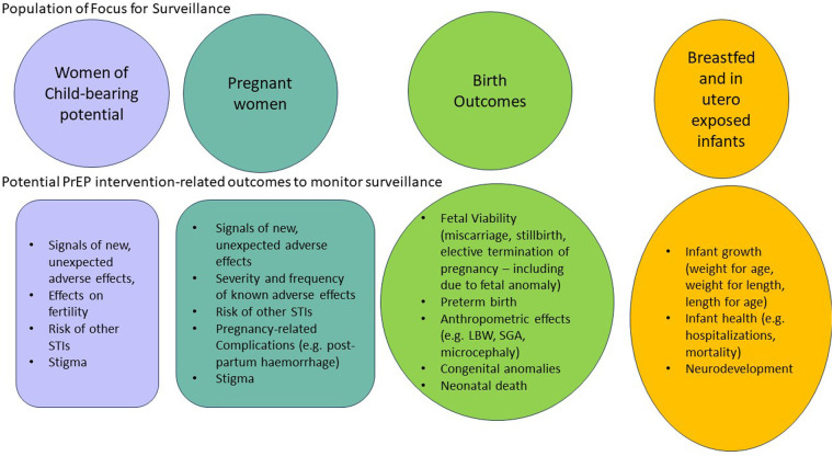 Safety surveillance for PrEP in pregnant and breastfeeding women.