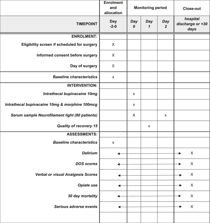 A double-blind, randomised, placebo-controlled trial comparing intrathecal bupivacaine with bupivacaine plus morphine to reduce delirium in patients with hip fractures—Salmon-Mind trial study protocol