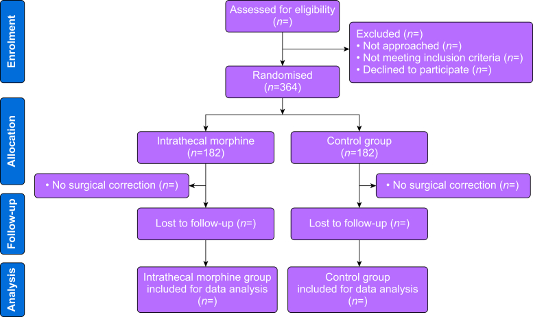 A double-blind, randomised, placebo-controlled trial comparing intrathecal bupivacaine with bupivacaine plus morphine to reduce delirium in patients with hip fractures—Salmon-Mind trial study protocol