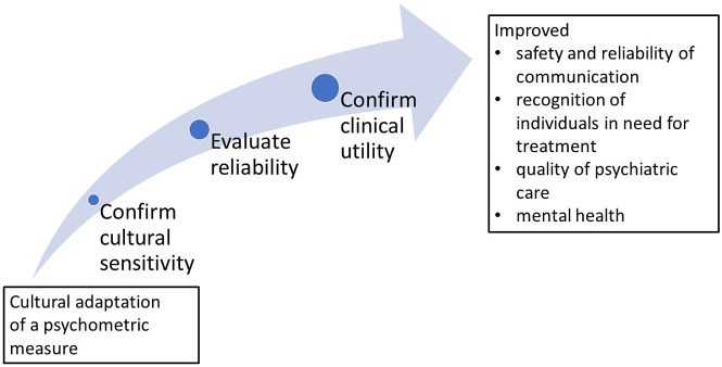 Safe and valid? A systematic review of the psychometric properties of culturally adapted depression scales for use among Indigenous populations.