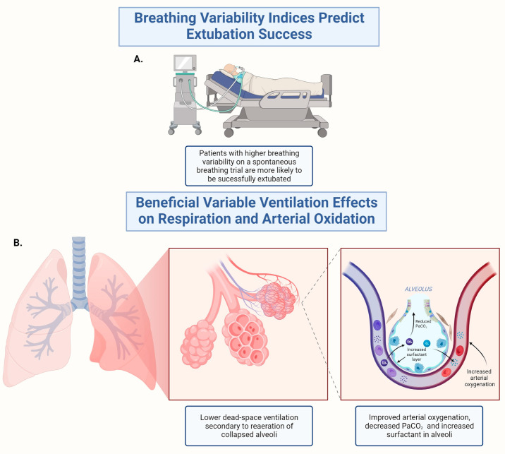 The Constrained Disorder Principle Accounts for the Variability That Characterizes Breathing: A Method for Treating Chronic Respiratory Diseases and Improving Mechanical Ventilation.