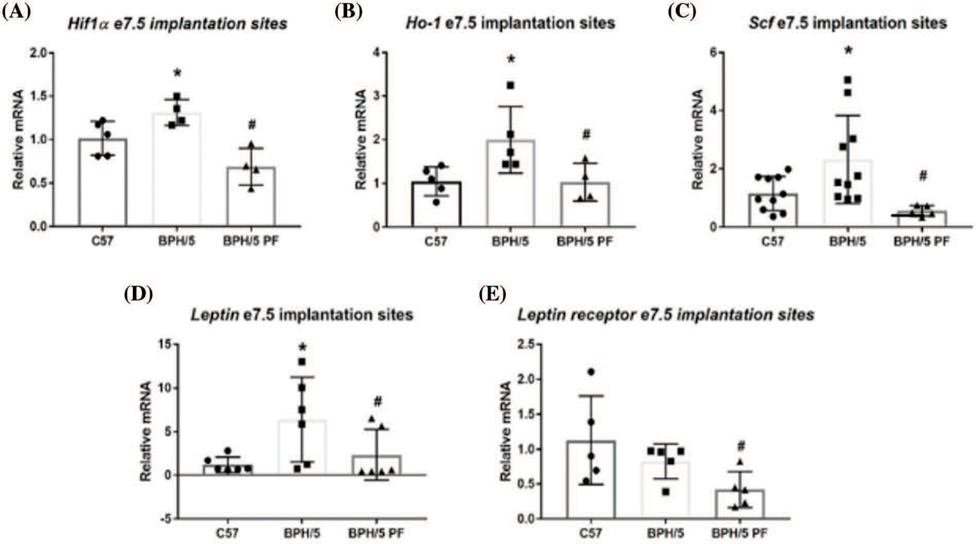 Reversal of maternal obesity attenuates hypoxia and improves placental development in the preeclamptic-like BPH/5 mouse model.