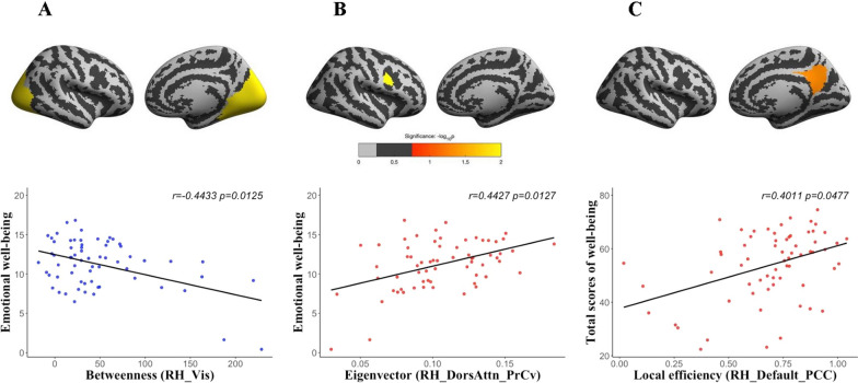 Well-being is associated with cortical thickness network topology of human brain.