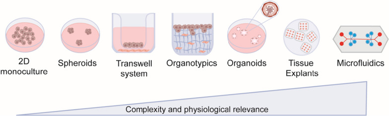 The role of three-dimensional in vitro models in modelling the inflammatory microenvironment associated with obesity in breast cancer.