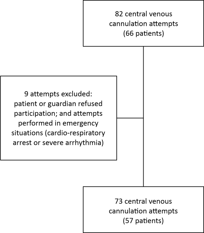 Complications of central venous catheterization at a vascular surgery service in a teaching hospital: a prospective cohort study.