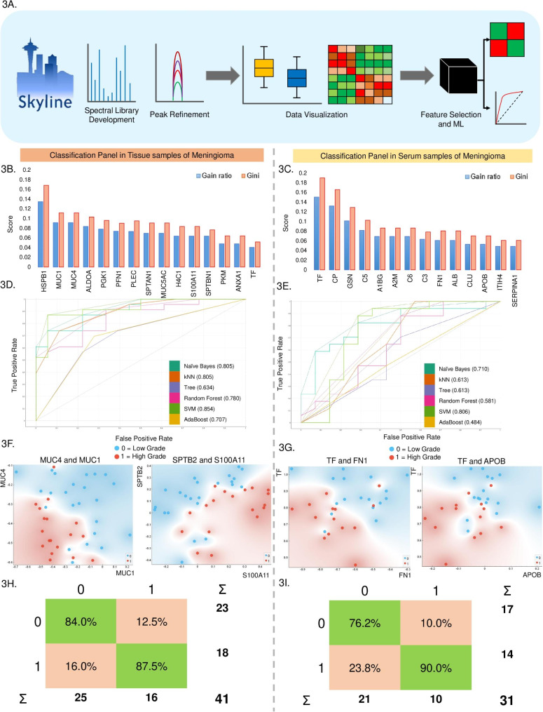 A large-scale targeted proteomics of serum and tissue shows the utility of classifying high grade and low grade meningioma tumors.