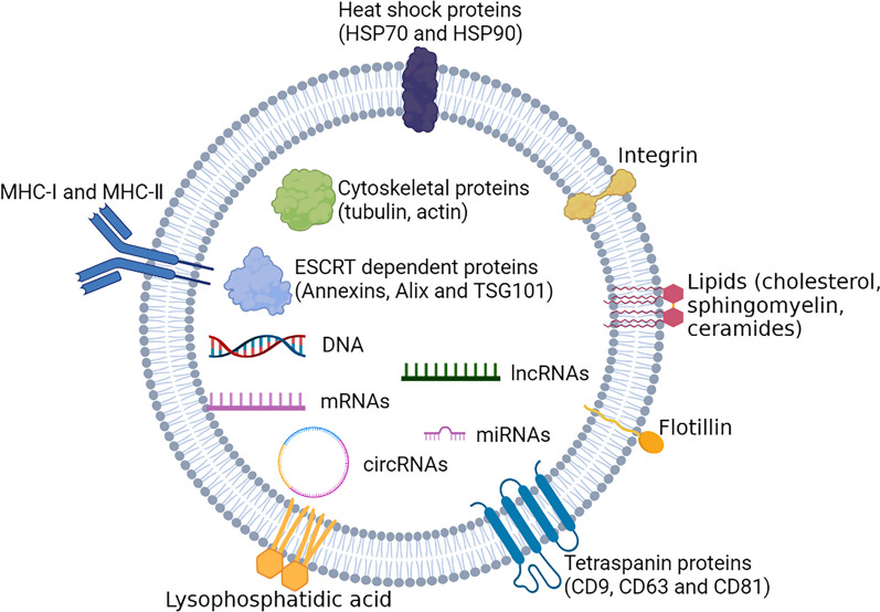 Research progress on the role of extracellular vesicles in neurodegenerative diseases.