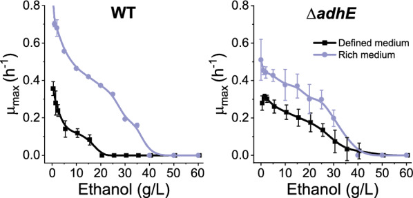 Ethanol tolerance in engineered strains of Clostridium thermocellum