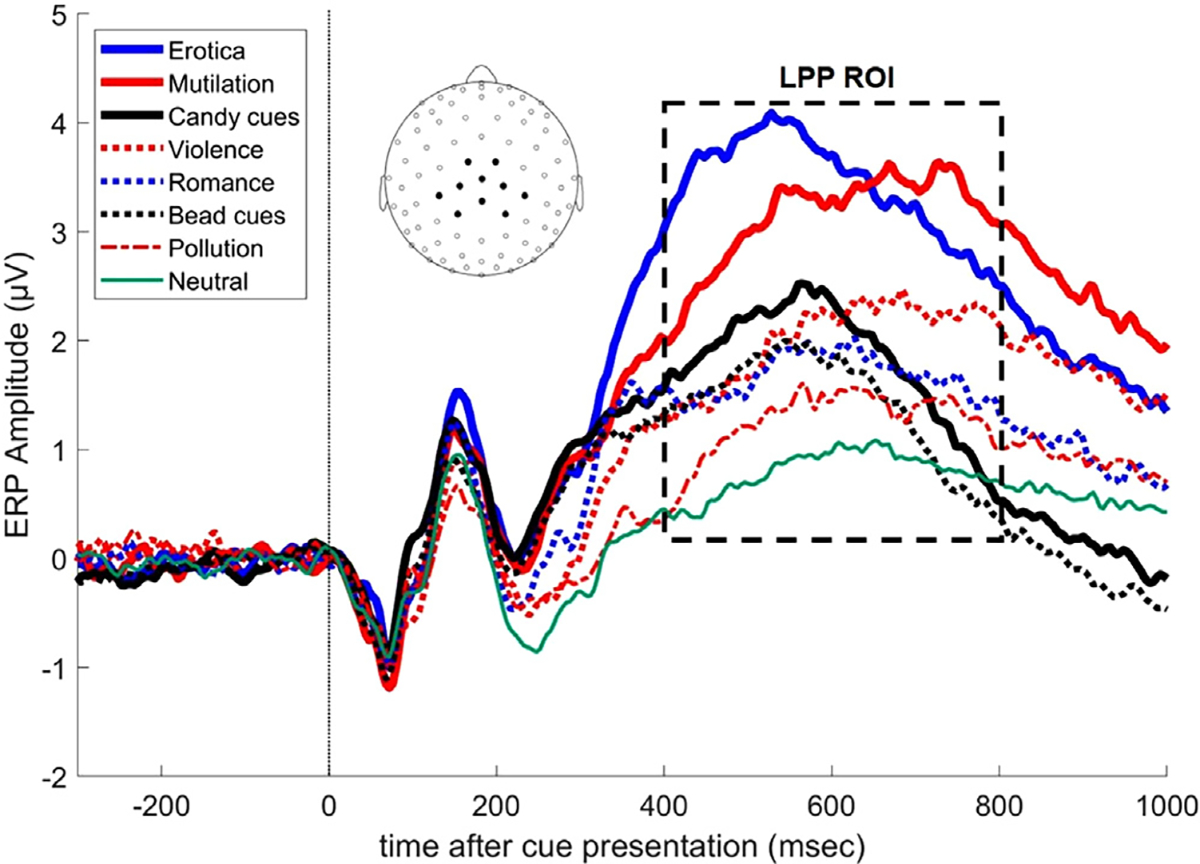 Individual differences in late positive potential amplitude and theta power predict cue-induced eating