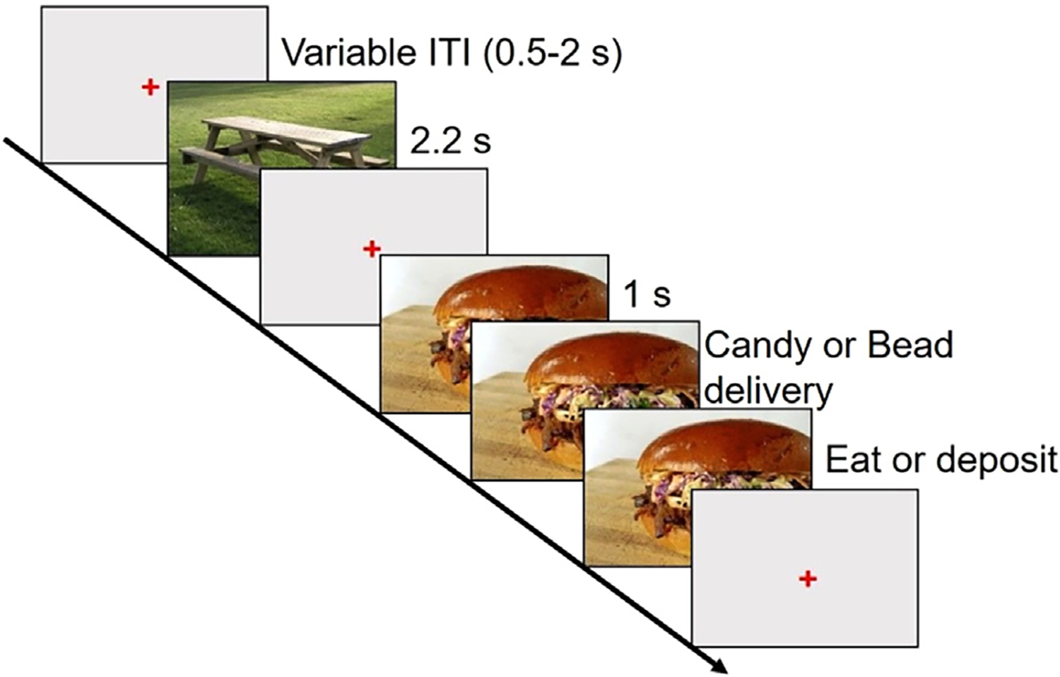 Individual differences in late positive potential amplitude and theta power predict cue-induced eating