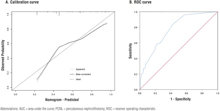 Nomogram to predict the risk of adverse outcomes in patients with residual stones following percutaneous nephrolithotomy.