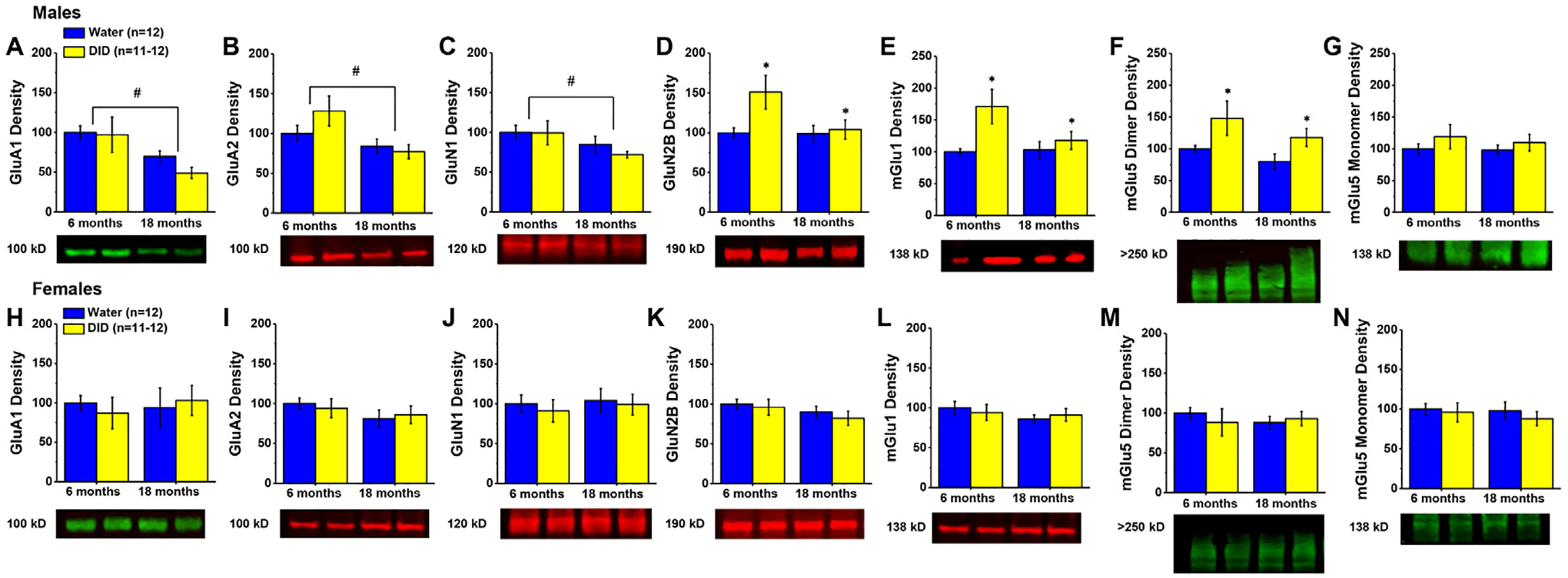 Alcohol-drinking during later life by C57BL/6J mice induces sex- and age-dependent changes in hippocampal and prefrontal cortex expression of glutamate receptors and neuropathology markers