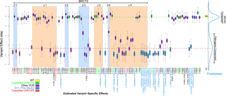 BRCA1 frameshift variants leading to extended incorrect protein C termini.